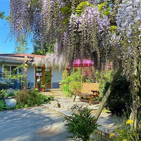 Wisteria Guest House Ganges Exterior foto